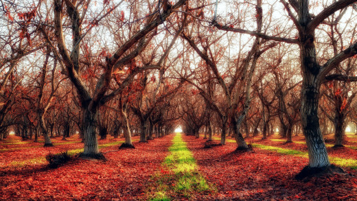 1268436 (a): :2560x1440